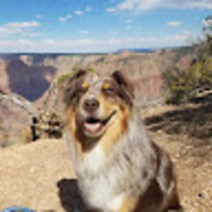 Meet your Posher, Thomas